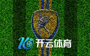 开云体育app官网入口网页版下载 安装指南