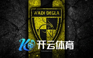 2025开云城市马拉松赛事现场