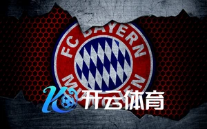 云开体育官网入口app下载