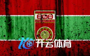 开云体育平台