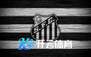 开云网址