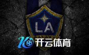 开云体育登入