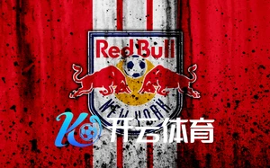 开云体育官网入口下载