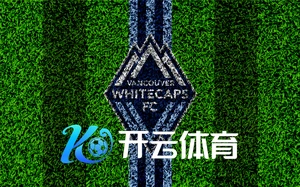 Kaiyun体育官方网站app未来计划