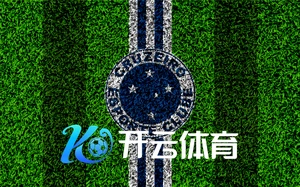 本土明星合作案例