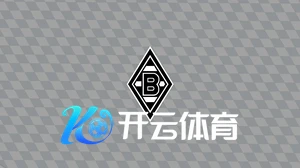 开云体育登陆品牌宣传