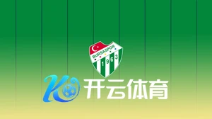 开云体育棋牌平台展示