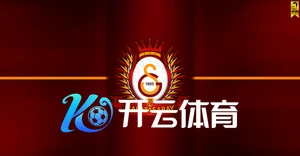 开云体育app官网入口登录