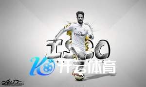 开云体育全站app下载