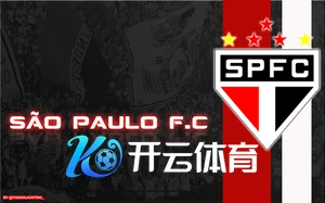 开云体育官网登录