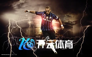 开云体育app入口下载