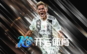 云开体育app在线登入网页版