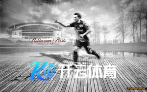 333体育官网在线登录 vs 其他平台：安全性与服务的对比分析