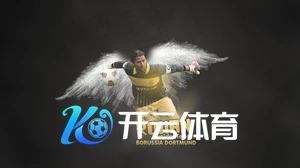 kaiyun体育app官网品牌宣传图
