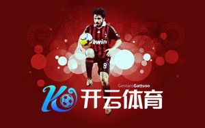Kaiyun体育网页助力全球体育产业发展