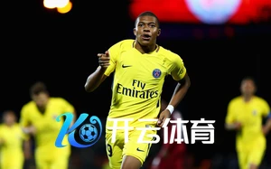 Kaiyun登录网页版功能概览