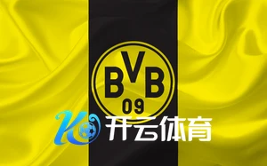 开云公司赞助世界杯预选赛