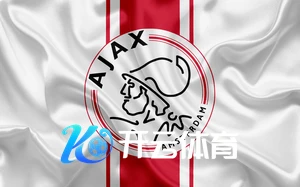 下载开云体育