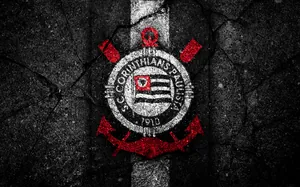 bb平台体育app官网