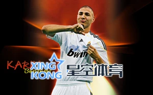 星空体育网站登录入口指南