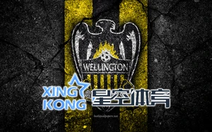 星空体育app下载入口