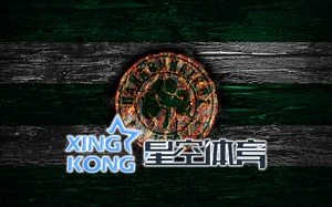 2025星空・综合体育全方位体验攻略