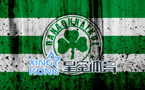 星空综合体育官网娱乐平台