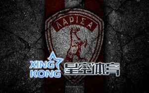 悟空全站体育APP登录实用指南及功能解析