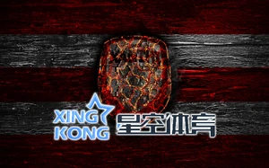 星空app官网登录入口