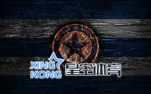 星空体育APP官方下载