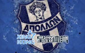 国际志愿者项目活动现场