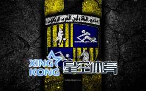 星空app官网登录