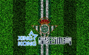 金沙乐娱场app3833下载详解，畅玩多样娱乐体验