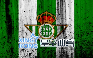 星空体育app品牌宣传图
