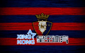 2025星空・综合体育全方位体验攻略