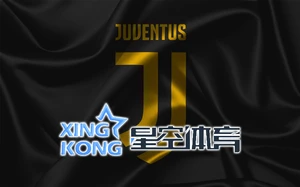 星空网站入口官网手机版