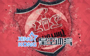 开云体育app官网入口：助力全球体育事业的强大平台