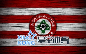 开云体育app官网入口：助力全球体育事业的强大平台