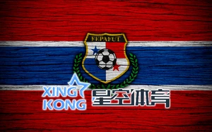 足球胜平负app全方位解析,助力精准赛事决策