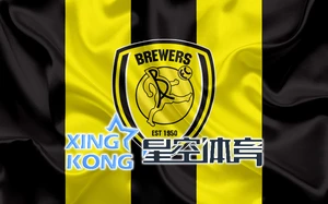 星空综合官网登录入口下载