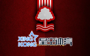 开运app体育官网入口登录指南，轻松畅享安全便捷服务