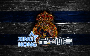 星空体育app下载官网最新版