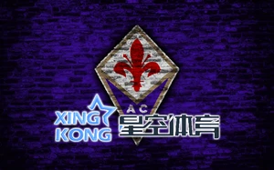 问鼎下载轻松掌握软件资源安全便捷体验