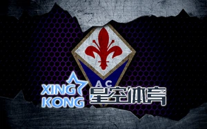 2024年星空娱乐巡回盛典：璀璨星辰，绚丽绽放