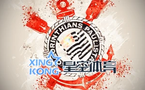 星空・综合(体育中国)