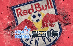 星空app官网登录入口官方网站