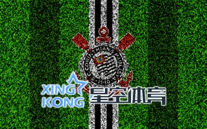 星空体育在线入口app下载2025新版界面