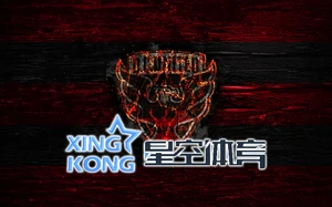 星空娱乐焕新体验引领多元互动新风尚