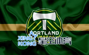 星空综合app官网登录