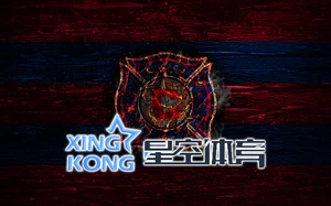 2026世界杯赛事规则全面解读，助你轻松掌握比赛全流程